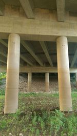 Columns in park