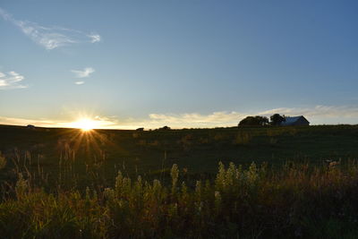 Scenic view of field against sky during sunset