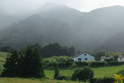 Trees and buildings against mountains