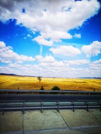 Scenic view of field against sky