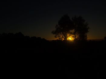 Silhouette trees against clear sky at sunset