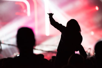 Rear view of silhouette people at music concert