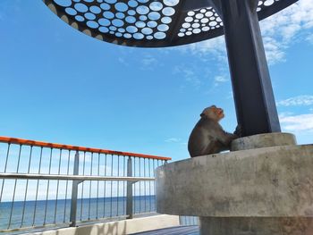 Low angle view of sitting on railing against sky