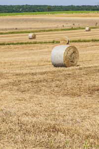 Hay bales on field