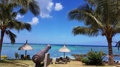 Palm trees on beach against sky