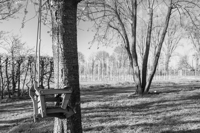 Empty bench in park
