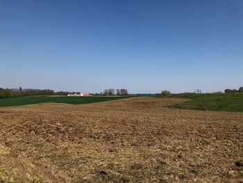 Scenic view of agricultural field against clear blue sky