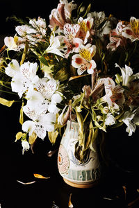 Close-up of white flowers