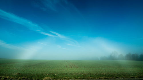 Scenic view of field against blue sky