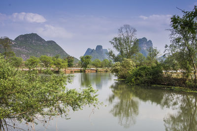 Scenic view of lake by trees against sky