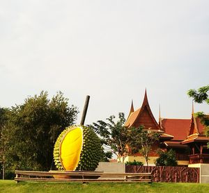 Low angle view of yellow trees against sky