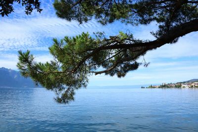 Scenic view of leman lake against sky