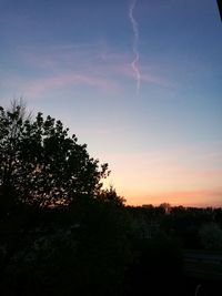 Silhouette trees against sky at sunset