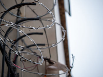 Close-up of telephone pole against wall