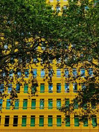Low angle view of tree against building