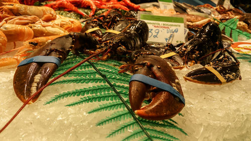 Lobsters on ice at market for sale