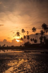 View of palm trees on beach at sunset