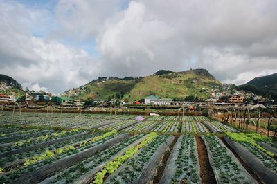 Panoramic view of agricultural field against sky