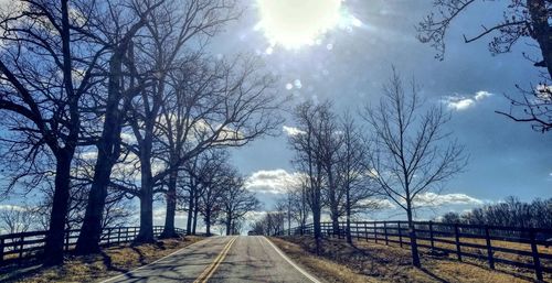 Street amidst bare trees against sky