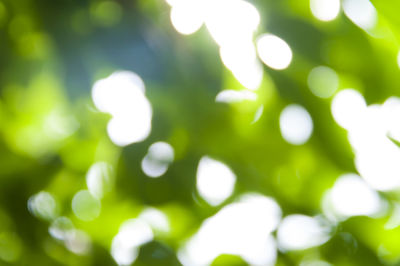 Defocused image of illuminated lights