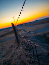 Close-up of sea shore against sky during sunset