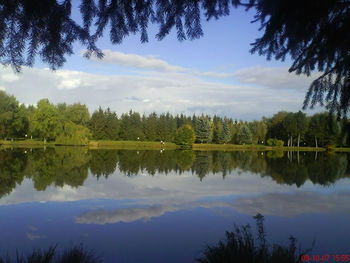 Scenic view of lake by trees against sky