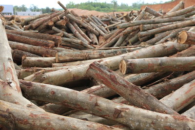 Close-up of stack of firewood