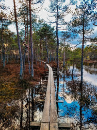 Scenic view of forest against sky