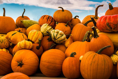 View of pumpkins for sale at market stall