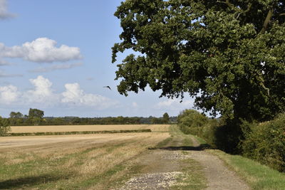 Empty road along countryside landscape