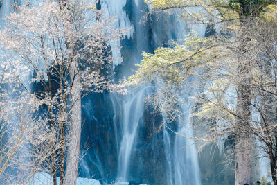 Scenic view of waterfall in forest