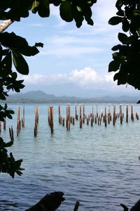 Wooden posts in sea against sky