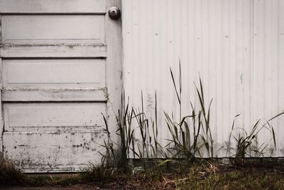 Close-up of door