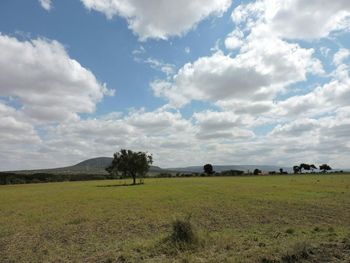 Scenic view of grassy field against cloudy sky