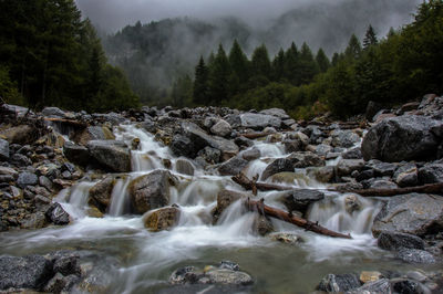 Scenic view of waterfall in forest