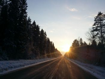 Road passing through trees