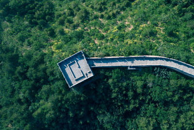 High angle view of road amidst trees in forest