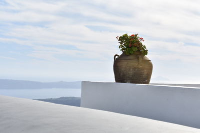 View of potted plant against cloudy sky