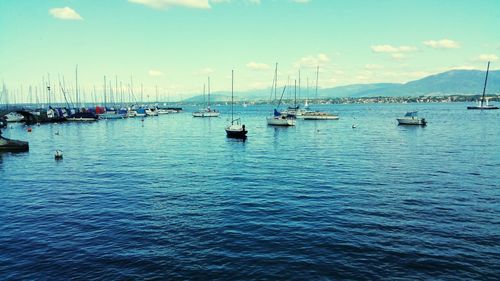 Sailboats in marina