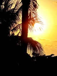 Low angle view of silhouette palm trees at sunset