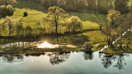 Scenic view of lake in forest