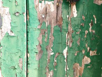 Full frame shot of old wooden door