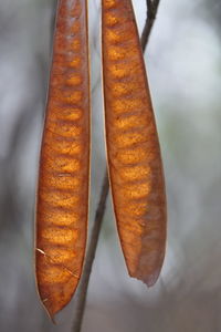 High angle view of bread