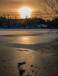 Scenic view of trees against sky during sunset