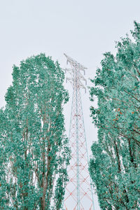 Low angle view of trees against sky