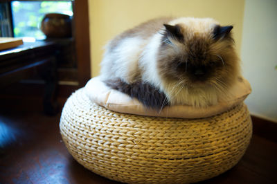 Close-up of birman cat resting on cushion at home