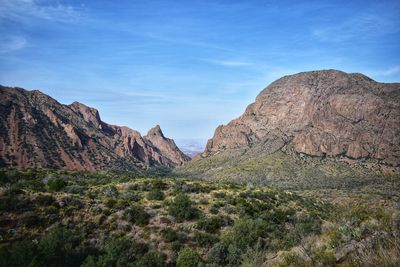 Window view big bend