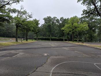 Empty road amidst trees against sky