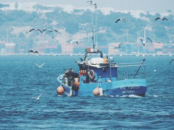 High angle view of seagulls on sea against sky