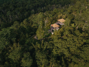 House surrounded by green nature forest shot from above